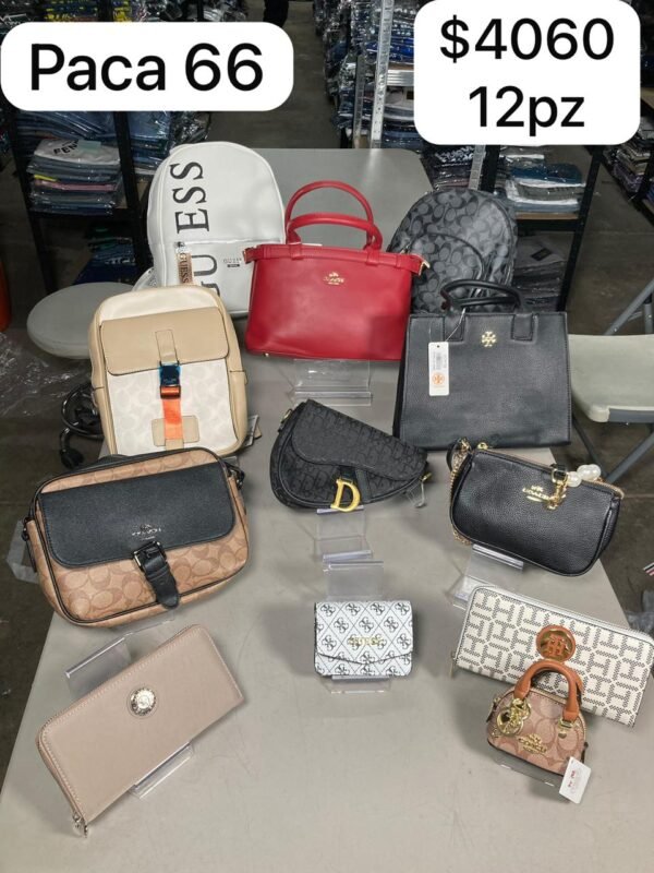 PACA BOLSAS No.66 | VARIEDAD 12 PZ