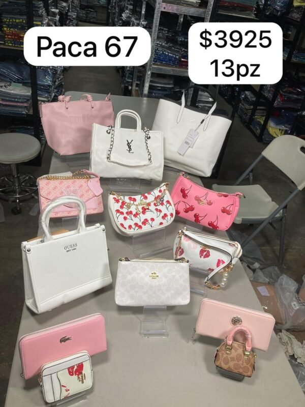 PACA BOLSAS No.67 | VARIEDAD 13 PZ